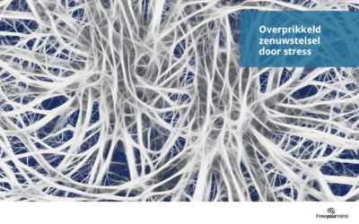Overprikkeld zenuwstelsel door stress