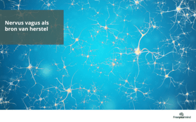 Nervus vagus als bron van herstel