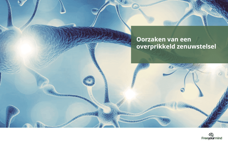 Oorzaken overprikkeld zenuwstelsel