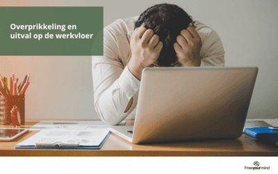 Overprikkeling en uitval op de werkvloer: De verborgen oorzaken en hoe je ze kunt voorkomen