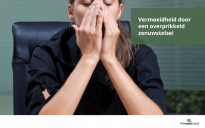 Vermoeidheid door een Overprikkeld Zenuwstelsel