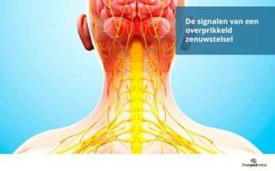 Herken de signalen van een overprikkeld zenuwstelsel en herstel!