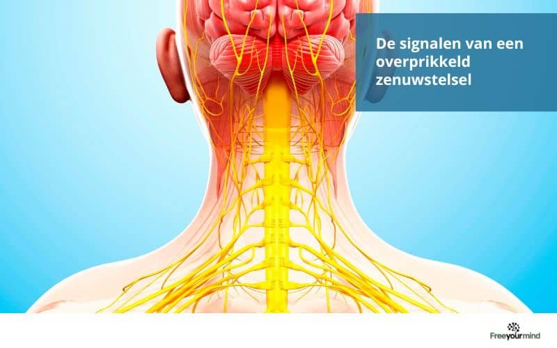 De signalen van een overprikkeld zenuwstelsel